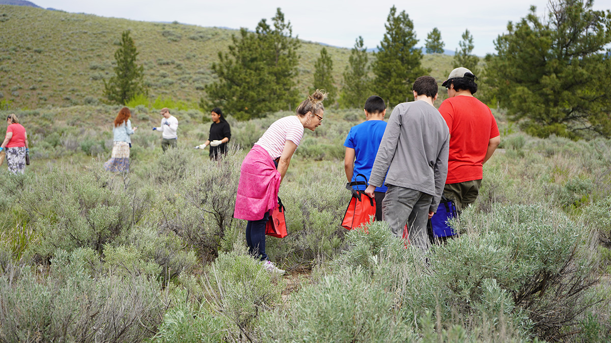 Sage-picking